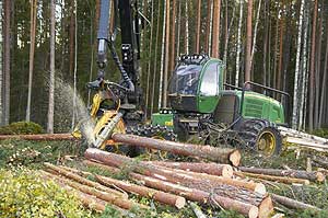 Die Bewirtschaftung der Wälder bildet die Grundlage der Frischfasergewinnung. Durch nachhaltige Produktion mit Aufforstung hat sich der europäische Waldbestand in den letzten 20 Jahren sogar erhöht.